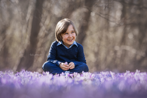 Heid Photographie | Newborn, Kid's & Family | Portraitfotograf auf alleFotografen