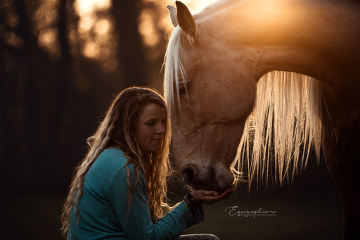 Heid Photographie | Pferdefotografie | Luftbildfotograf auf alleFotografen