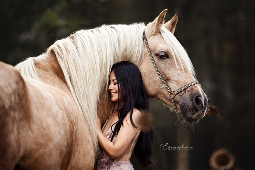 Heid Photographie | Pferdefotografie | Babyfotograf auf alleFotografen