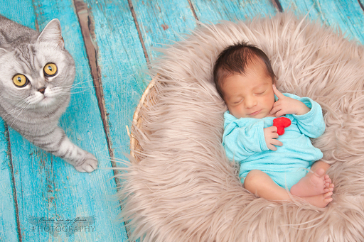 Carolin von der Gönna | Newborn | Familienfotograf auf alleFotografen