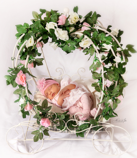 Michaela Tita Photography | Newborn | Babyfotograf auf alleFotografen