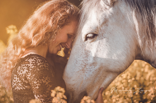 Michaela Zenger Photography  | Pferdefotografie | Portraitfotograf auf alleFotografen