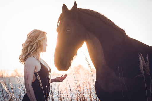 Michaela Zenger Photography  | Pferdefotografie | Luftbildfotograf auf alleFotografen