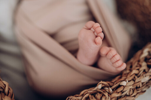 Anke Hartl Fotografie | Neugeborene | Paarfotograf auf alleFotografen