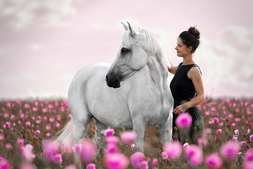Cara Krenzer Fotografie  | Pferde  | Portraitfotograf auf alleFotografen