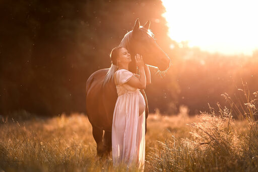 Cara Krenzer Fotografie  | Pferde  | Pferdefotograf auf alleFotografen