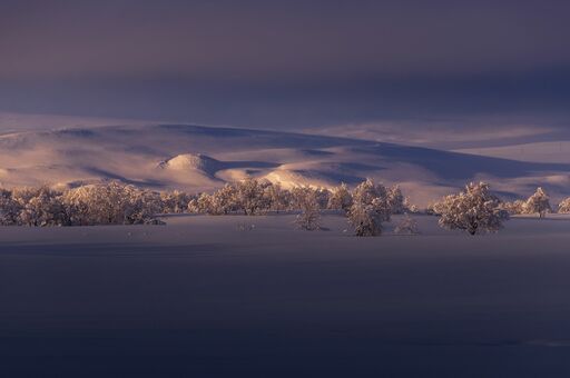 MRU-Photographie | Winter | Landschaftsfotograf auf alleFotografen