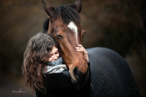 Valerie Jenner Fotografie | Pferdefotografie | Tierfotograf auf alleFotografen