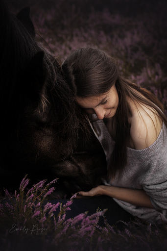 Emily Reese Fotografie | Pferde | Hundefotograf auf alleFotografen