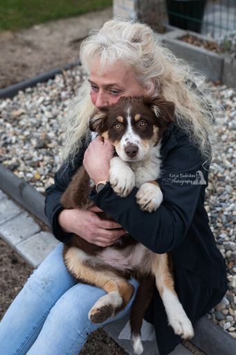 Katja Budnikov Photography | Mensch-Hund-Bilder | Tierfotograf auf alleFotografen