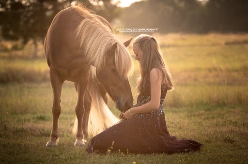 ALLTAGSCHARMANT  | Pferde  | Tierfotograf auf alleFotografen