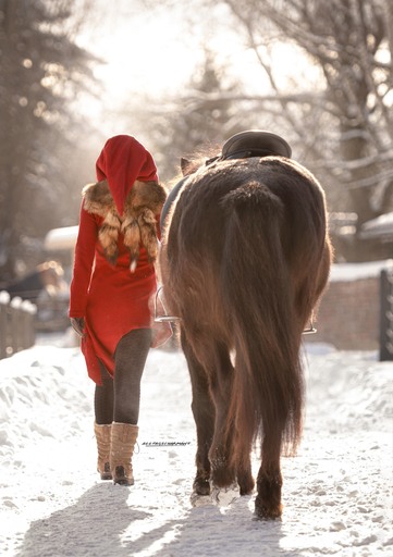 ALLTAGSCHARMANT  | Pferde  | Babyfotograf auf alleFotografen