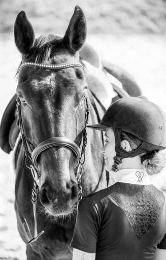ALLTAGSCHARMANT  | Pferde  | Paarfotograf auf alleFotografen