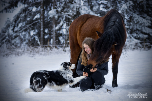 Daniela.Schmid.Fotografie | Pferdebilder | Hundefotograf auf alleFotografen