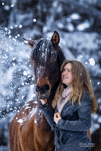 Daniela.Schmid.Fotografie | Pferdebilder | Pferdefotograf auf alleFotografen