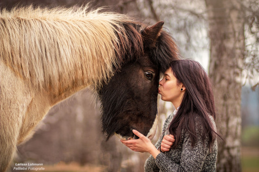 Fellliebe Fotografie | Pferde | Hundefotograf auf alleFotografen