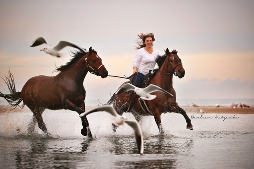 Darleen Matzanke Fotografie | Pferd + Mensch | Kinderfotograf auf alleFotografen