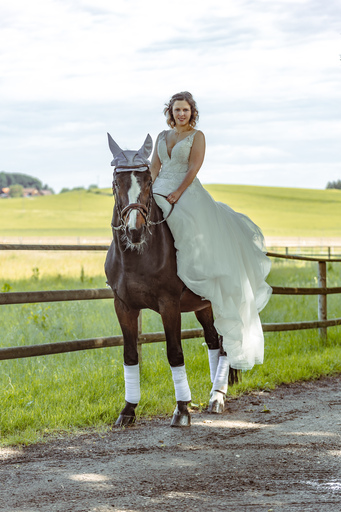 WSchriebl PixelArts  | Hochzeit | Pferdefotograf auf alleFotografen