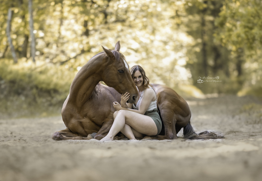 Pferd-und-Pfotegrafie | Pferde  | Tierfotograf auf alleFotografen