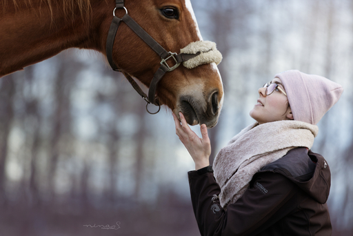 Nina S. Fotografie  | Pferde | Imagefotograf auf alleFotografen