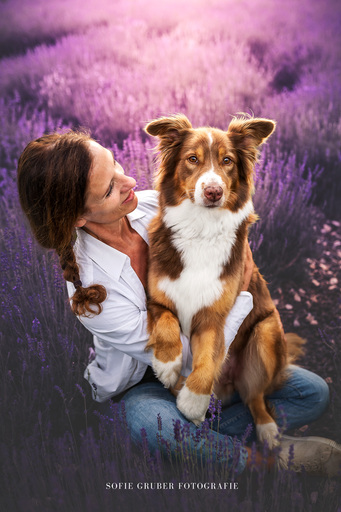 Sofie Gruber Fotografie | Lavendel | Hundefotograf auf alleFotografen