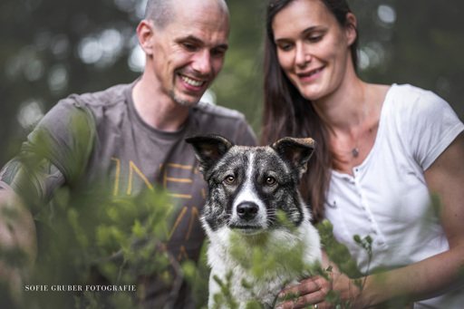 Sofie Gruber Fotografie | Wald | Tierfotograf auf alleFotografen