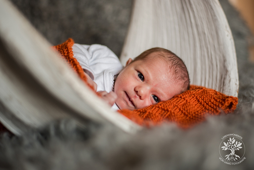 SAMO Fotografie | Baby & Neugeborene | Portraitfotograf auf alleFotografen