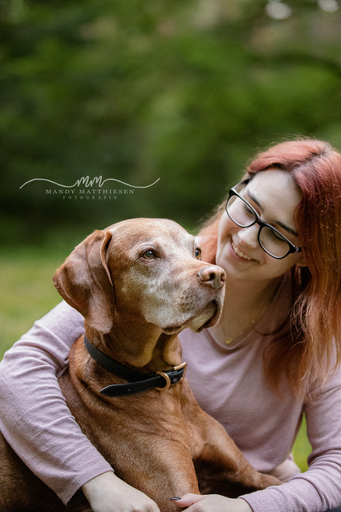 Mandy Matthiesen Fotografie  | Hunde | Pferdefotograf auf alleFotografen