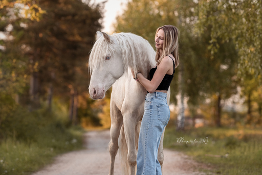sie.fotografiert.jetzt.pferde | Pferde | Pferdefotograf auf alleFotografen