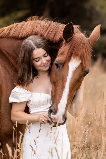 sie.fotografiert.jetzt.pferde | Pferde | Hundefotograf auf alleFotografen