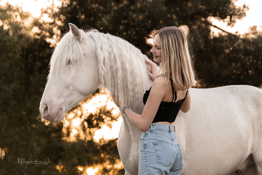sie.fotografiert.jetzt.pferde | Pferde | Sportfotograf auf alleFotografen