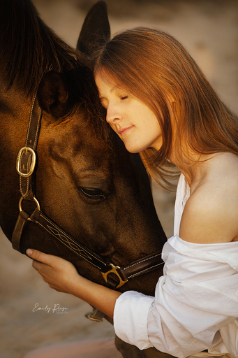 Emily Reese Fotografie | Pferde | Tierfotograf auf alleFotografen