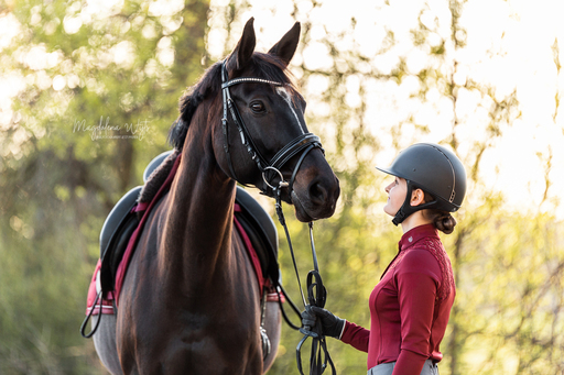 sie.fotografiert.jetzt.pferde | Pferde | Sportfotograf auf alleFotografen