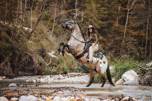 Manus Fotografie | Pferde | Sportfotograf auf alleFotografen