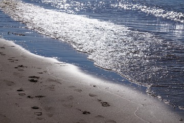 Susanne Lietz Photography