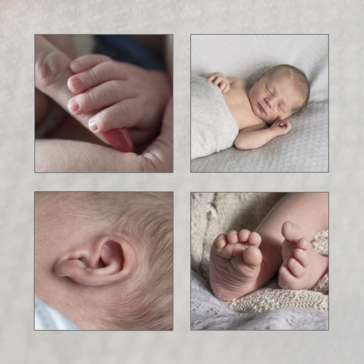 photo&more Steffi Pretz | Babybauch/Babys | Babyfotograf auf alleFotografen