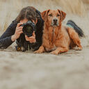 Silke Janßen - Fotografie