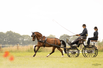 Fotografie Louisabe