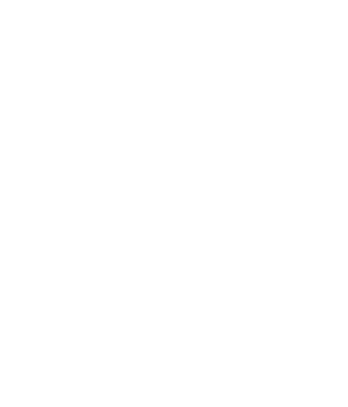 Logo balanç social 2022