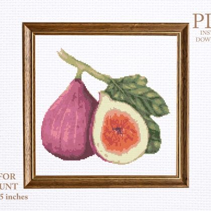 fig cross stitch pattern