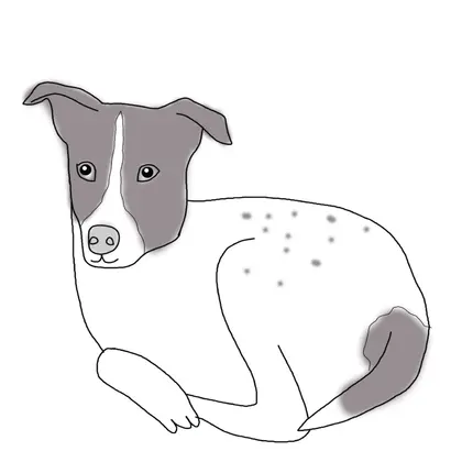 Colored Real Bad Portrait Dog Lover Gift Ugly Art