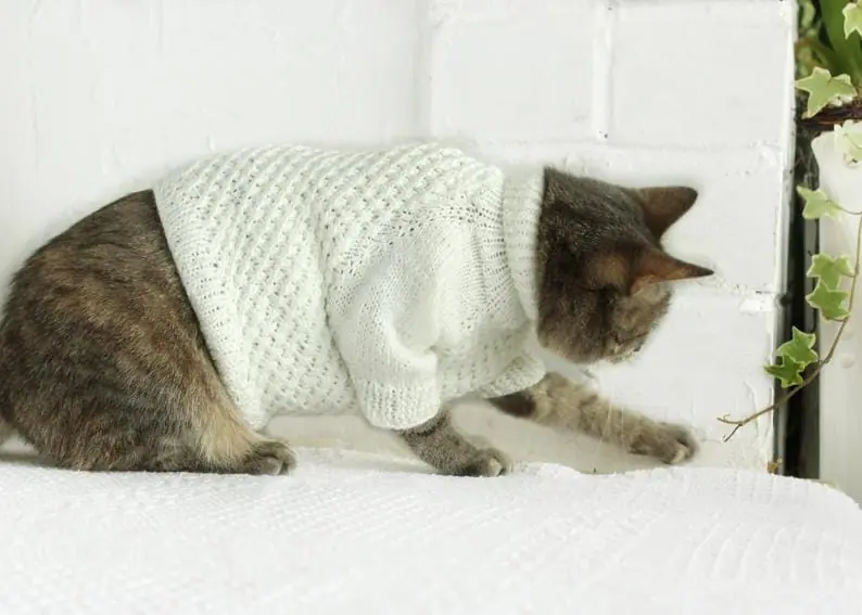Cat sweater, cat clothes *Bestseller* 4 Cat sweater