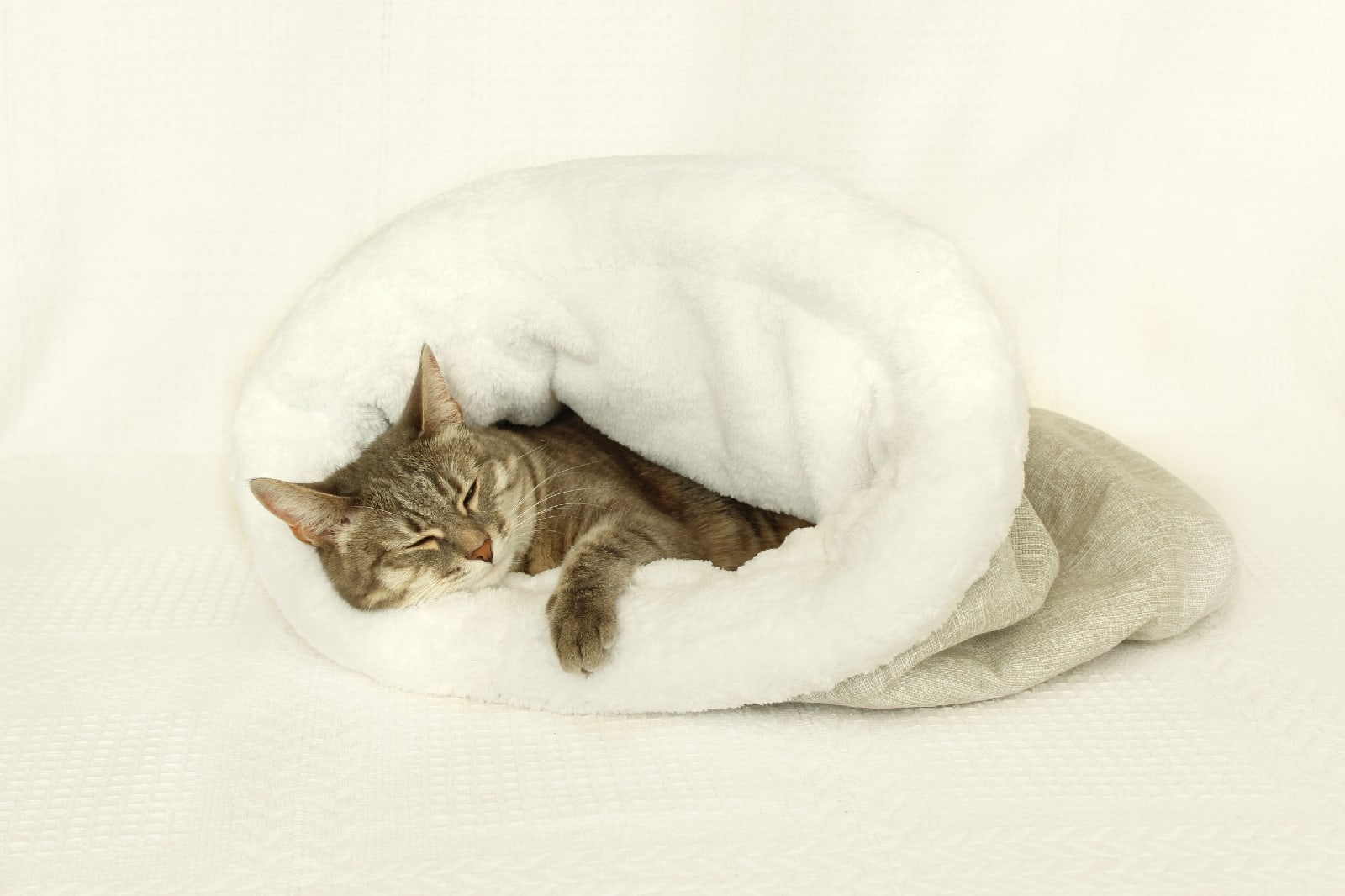 Cat bed sleeping bag 3 Cat bed sleeping bag, kitten bed, winter warm cat, pet products