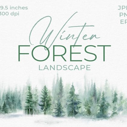 Big FOREST Landscape