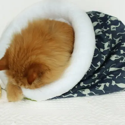 Cat bed sleeping bag, kitten bed, winter warm cat, pet products.