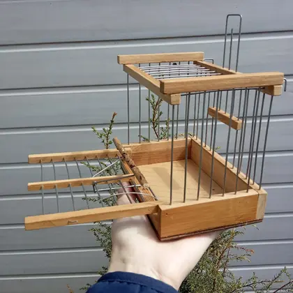 WoodenTrapBirds