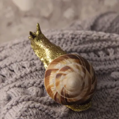 Snail brooch
