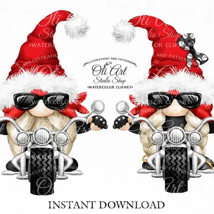 Biker gnome, biker girl, clipart png, сute characters Santa hats