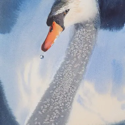 A beautiful proud bird - Original watercolor