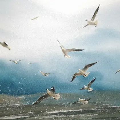 Seagulls - Original watercolor